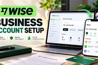 help with US llc banking, wise, mercury and business setup