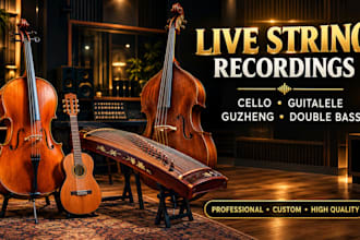 play strings instrument cello, guitalele, guzheng, double bass for your song