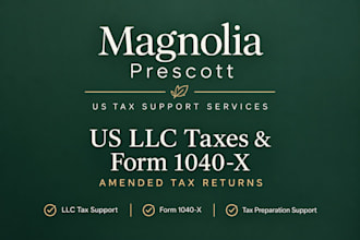 assist with US llc taxes and form 1040 x amended tax returns