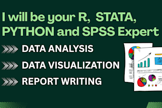 be your r, stata, python and spss expert