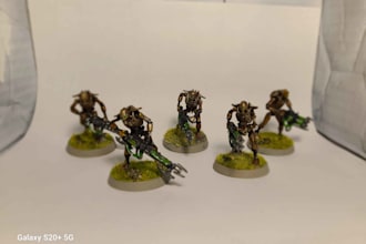 assemble and paint your minis for you