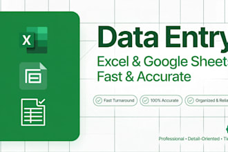 do data entry excel work and google sheets