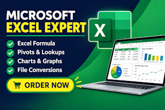 create excel dashboards and reports