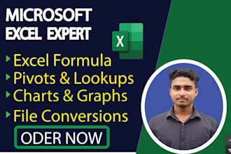 create excel dashboards and reports