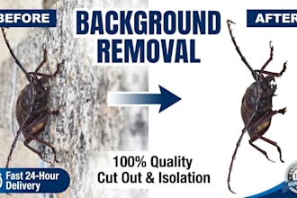 do professional photo background removal and cutout