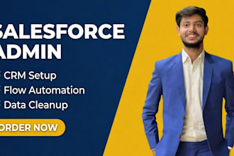 be your salesforce admin for crm setup and flows