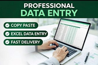 do data entry, ms excel, word, copy paste and web research