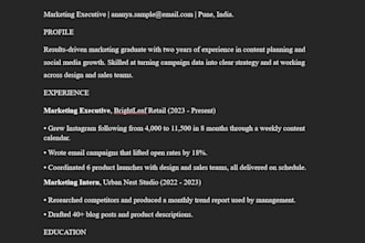 write a professional resume and cover letter