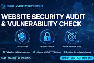 do basic website security audit and vulnerability check