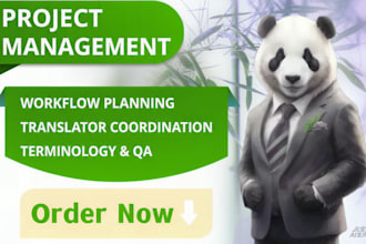 be your chinese english translation project manager