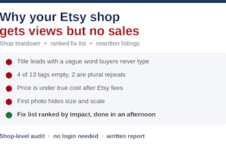 audit your etsy shop and tell you why it gets no sales