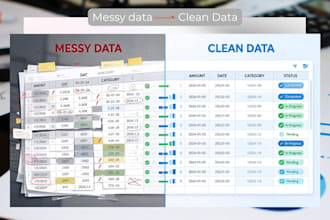 organize and analyze your data