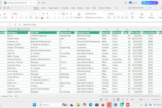 excel data entry, copy typing and data cleaning