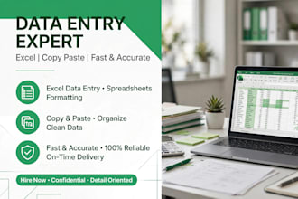do data entry excel work typing and virtual assistant task accurately