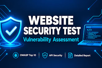 security testing for websites and apis