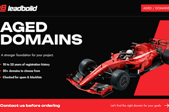 provide aged domains for your business
