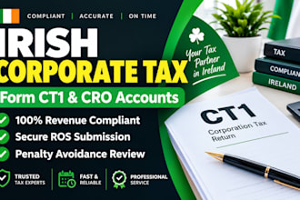 file irish corporation tax return ct1 cro account and prepare company accounts