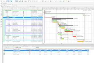 create a professional construction schedule in primavera p6