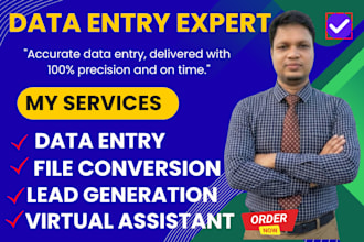 do professional data entry,  lead generation file conversion