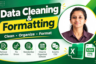 do excel or csv data cleaning and formatting