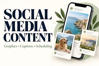 manage facebook and instagram with posts captions and scheduling