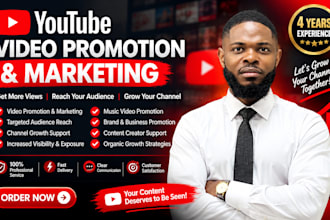 reach 10m organic USA subscribers via video promotion, youtube channel promotion
