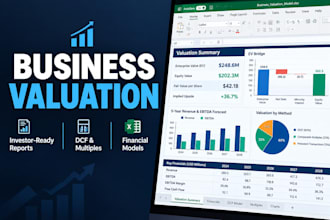 do professional business valuation, financial modeling, and company analysis