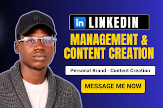 be your linkedin manager and content creator