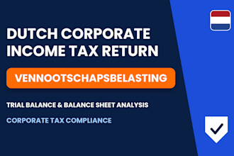 file dutch vennootschapsbelasting return  tax compliance corporate income tax