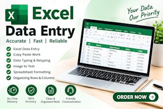 do excel data entry, copy paste, and spreadsheet formatting