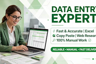 do accurate data entry , excel, copy paste and web research