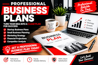 write a professional business plan