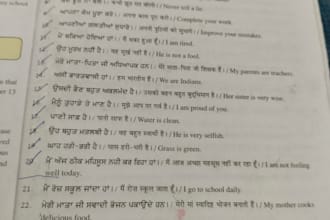 translate english to hindi and punjabi translation