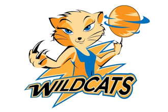 design wildcats girls basketball club logo