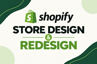 build professional shopify store
