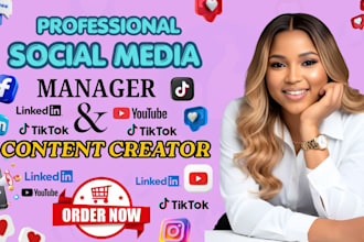 be your social media marketing manager and content creator social media manager