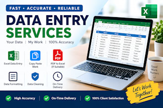 do accurate data entry and copy paste tasks excel related works content creation