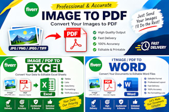 do copy paste PDF to excel and work document formatting work