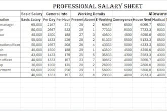 create professional excel sheets ,purchase order, invoice and salary sheet