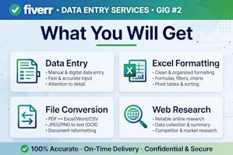 be your expert virtual  assistant for data entry and ms excel work and banking