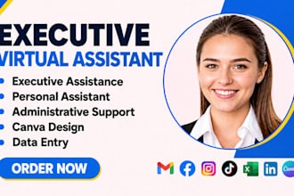 be executive personal administrative virtual assistant adhd data entry