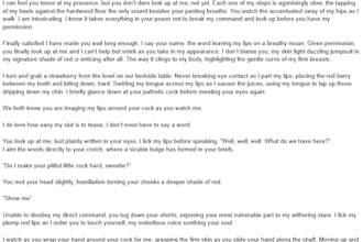 write custom erotic stories