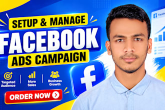 set up and manage facebook ads campaigns for your business