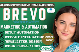 design brevo email template or newsletter, brevo wordpress website integration
