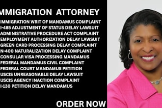 prepare federal mandamus complaints for delayed immigration visa processing