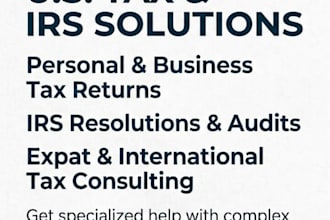 provide US tax returns, irs resolution and expat, international tax consulting