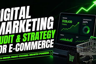 do comprehensive digital marketing audit and strategy for ecommerce