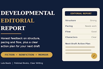 write a developmental editorial report