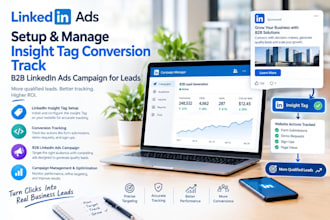 setup and manage insight tag conversion track b2b linkedin ads campaign for lead