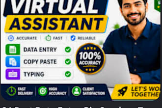 do professional data entry and virtual assistant work